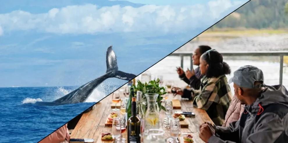Whale & Wine Experience: A 3-Day Garden Route Journey 2 Whale & Wine Experience: A 3-Day Garden Route Journey