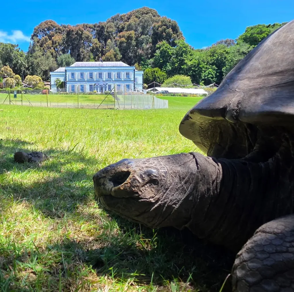 Saint Helena: A Gem in the South Atlantic 7 The oldest tortoise in the world, Jonathan, seen here at Plantation House on Saint Helena